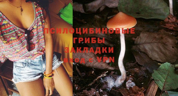 круглые Аркадак