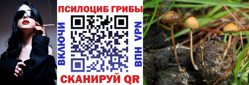 Галлюциногенные грибы Cubensis  закладка  Котлас 